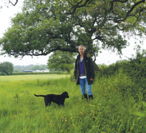 Greening Welsh Grassland