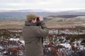 A Champion for Curlew