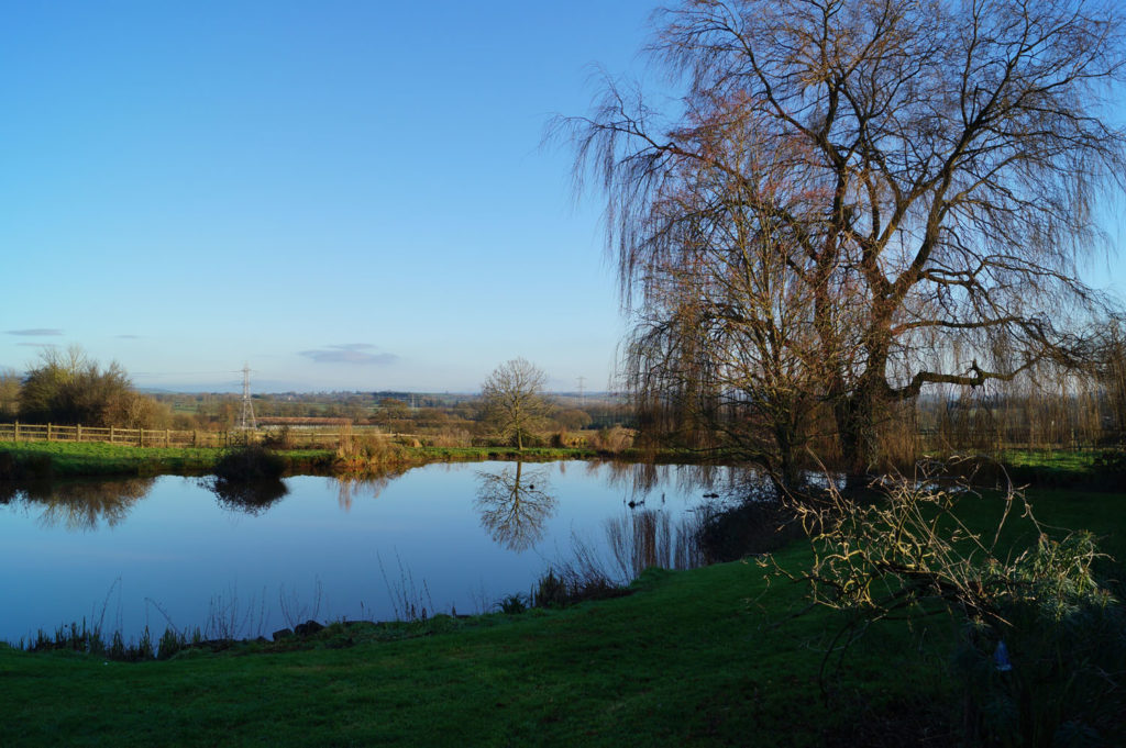 Eleven Ponds and Counting