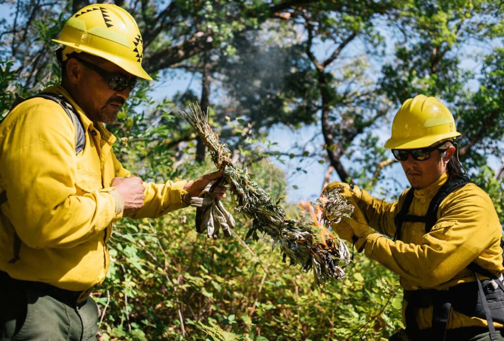 Harold Myers of the Yurok tribe and Chris Villarruel of the Pit River tribe light traditional wormwood-branch torches to start the burns