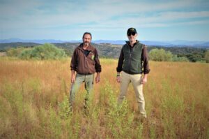 Finding the Missing Lynx