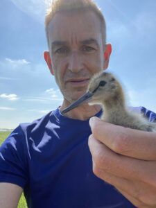 Guarding the Godwits