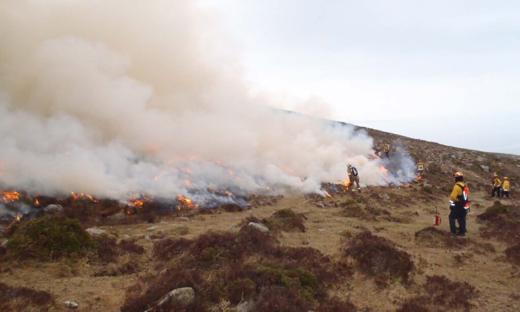 NI Fire and Rescue Service and Mourne Heritage Trust personnel carrying out a prescribed burn of a wildfire control plot in the Eastern Mourne Mountains.