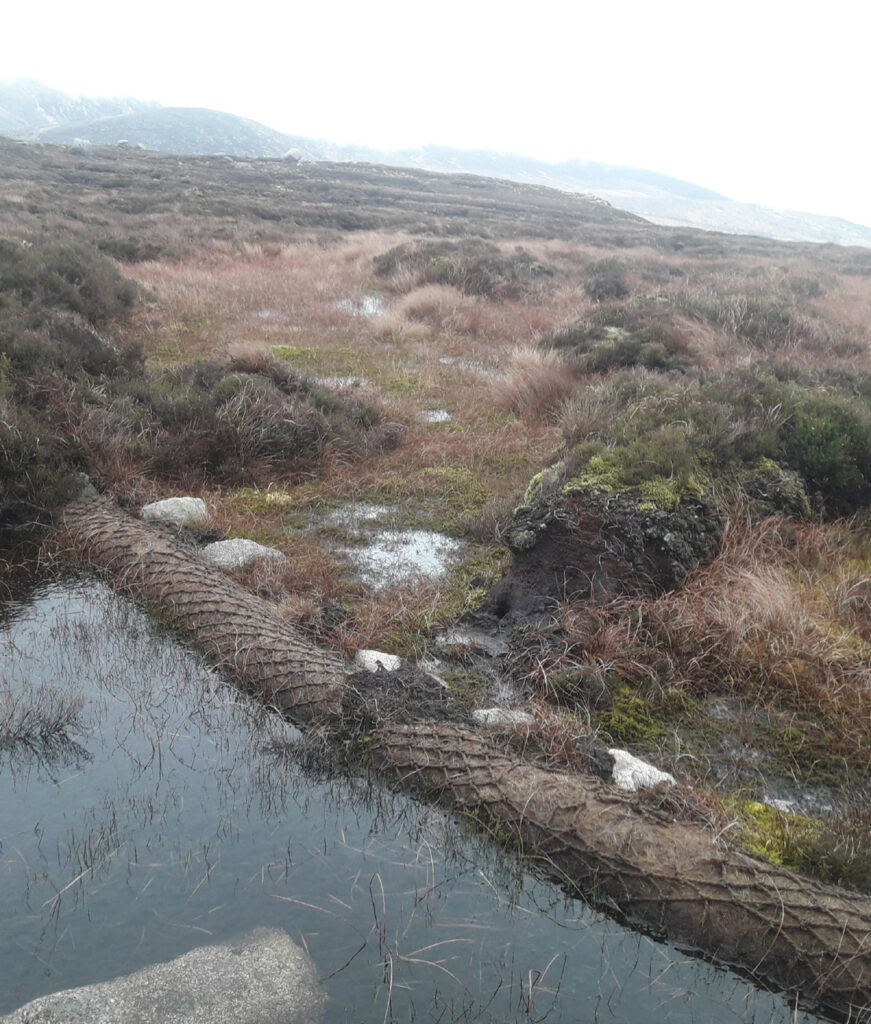 Coir rolls on eroded peatland hold back water and sediment.