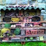How to create the ultimate insect hotel