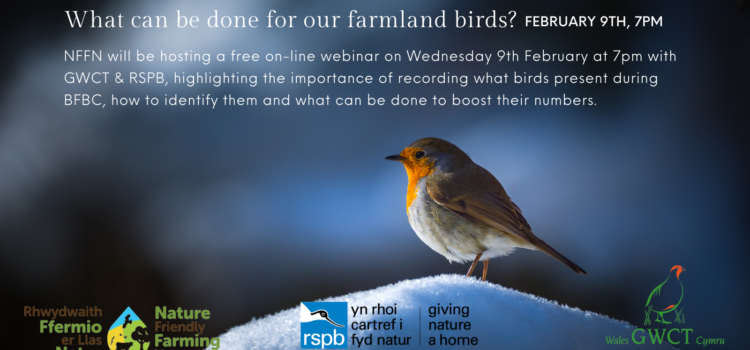 Time to get counting farmland birds in Wales: FREE webinar