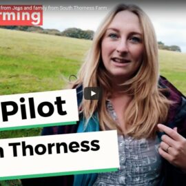 Video Diary: Farmer Jess Brooks on the Sustainable Farming Incentive pilot