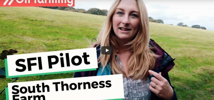 Video Diary: Farmer Jess Brooks on the Sustainable Farming Incentive pilot