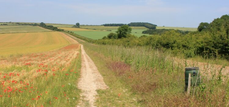 Learn how remarkable wildlife restoration has been achieved alongside food production on a tour of Peppering Farm in Sussex