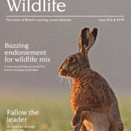 Download the first issue of the Working for Wildlife magazine